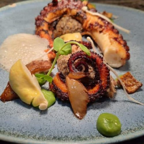 320456799_1527888627679382_2523280503195287978_n